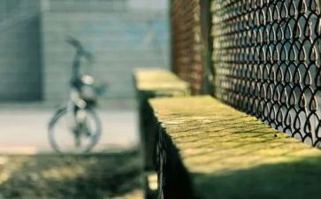 告别母校作文最新5篇