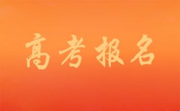 新高考作文通用8篇