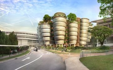 2024高校述职报告通用5篇