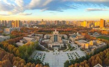 高校实习心得体会5篇
