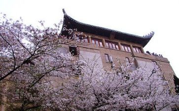 高校2024工作总结8篇