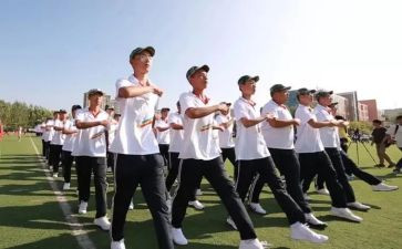读高一的心得体会800字优质7篇