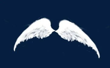 插上翅膀的翅膀飞作文7篇