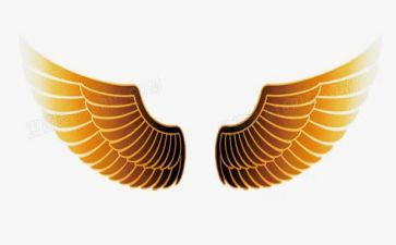 插上翅膀作文优质5篇