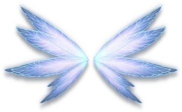 插上翅膀作文模板5篇