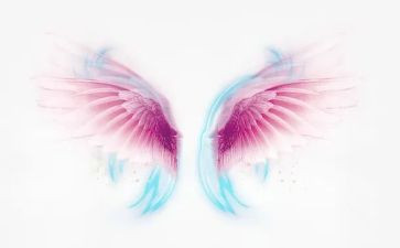 梦想的翅膀作文参考6篇