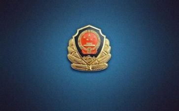2024年度公安个人总结7篇