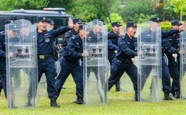 公安个人年度总结8篇