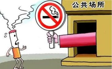 2024公共卫生工作计划优质5篇