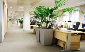 公司年终总结范文模板5篇