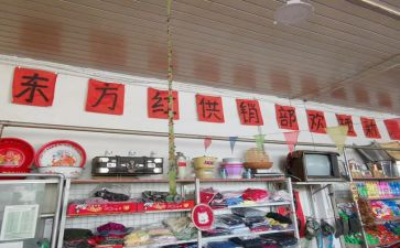 供销社培训工作总结7篇