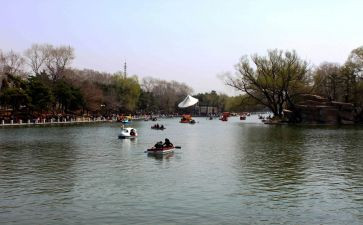 游公园写心得体会8篇