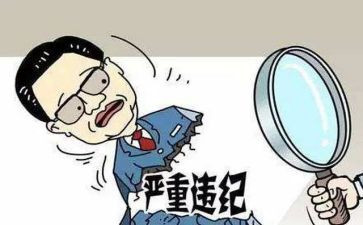 县公职律师工作总结6篇