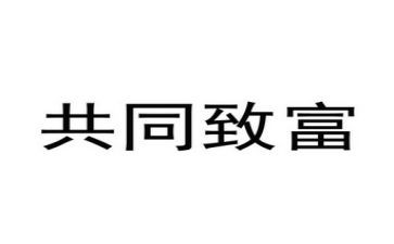 致富女能手事迹材料6篇