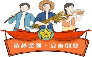 致富女能手主要事迹8篇