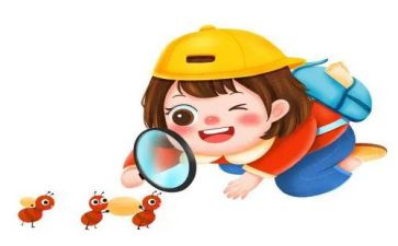 观察与心得体会优秀7篇