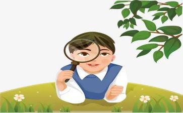 观察与心得体会8篇