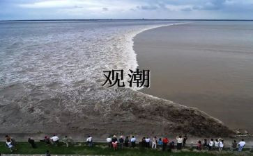 小学四年级观潮教案7篇