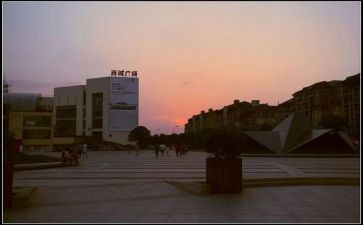 写广场作文300字7篇