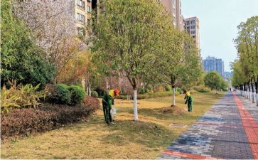 主管护士的述职报告7篇