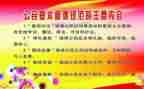 规范字的心得体会优质6篇