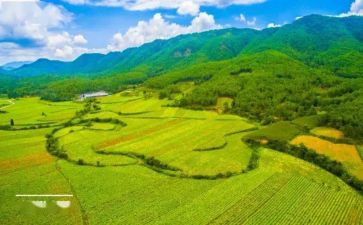 2024年国土所述职报告范文6篇