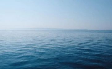 指甲壳里的海读后感7篇