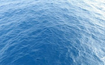 海归入党申请书范文7篇