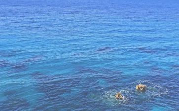 《海》的读后感推荐5篇