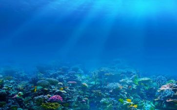 海底两万里海底读后感参考5篇