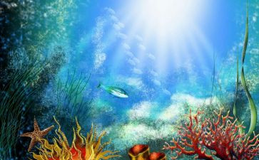 海底2万里的读后感模板6篇