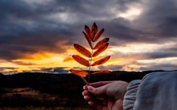 哈姆雷特读书心得模板5篇