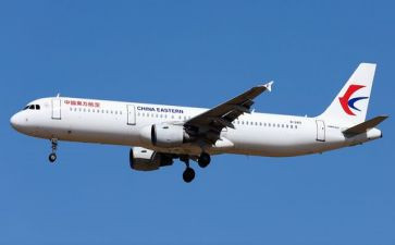 舒克和贝塔航空公司读后感8篇