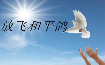 和平读后感6篇