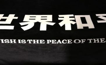 战争与和平阅读心得体会8篇