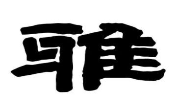 和雅学生事迹材料精选5篇