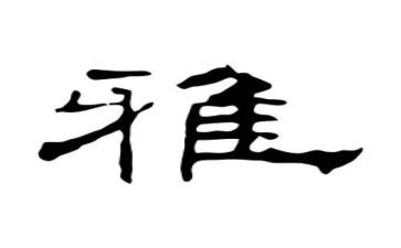 和雅学生事迹材料模板5篇