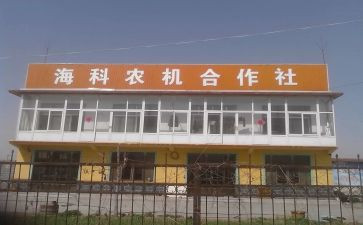 村合作社述职报告5篇