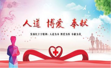 红十年度工作总结参考8篇