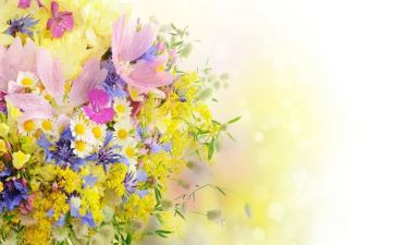 樱花节作文600字8篇