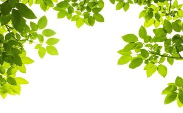 环保工作计划范文优质7篇