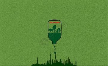 环保所个人述职报告8篇