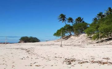 荒岛的作文最新6篇