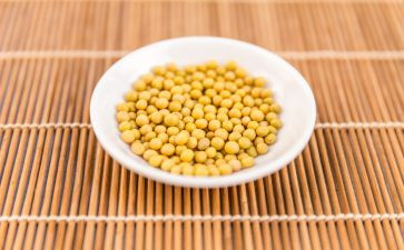 幼儿园黄豆教案5篇