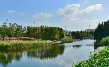 环境色教案推荐5篇