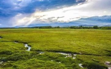 环境色教案精选7篇