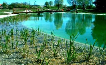 关于环境心得体会5篇