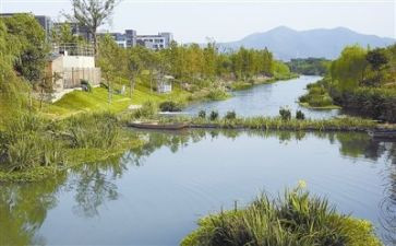 环境色教案模板6篇