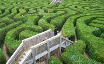 环境色教案参考5篇