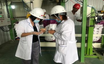 化验工作个人总结优秀8篇